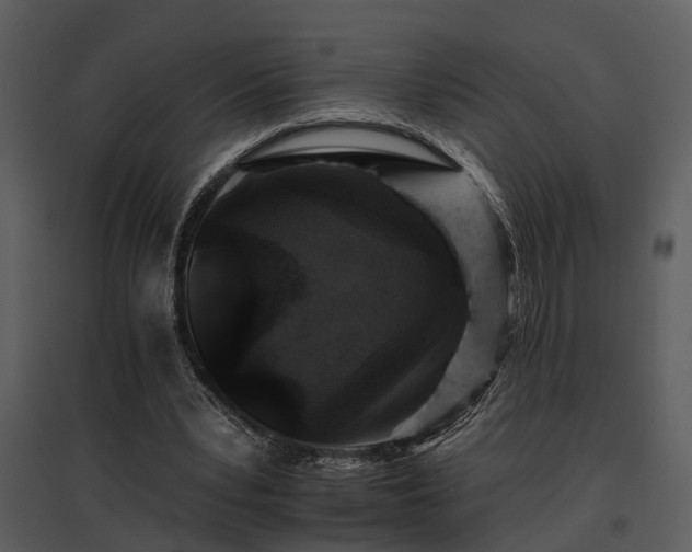 X0000095670391200801151108