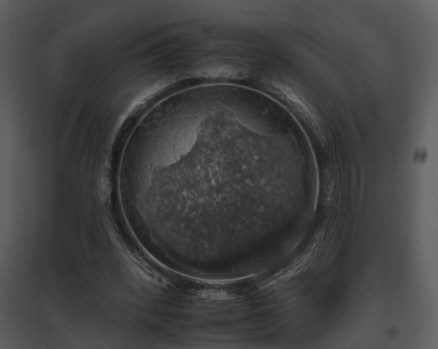 X0000095670392200801151108