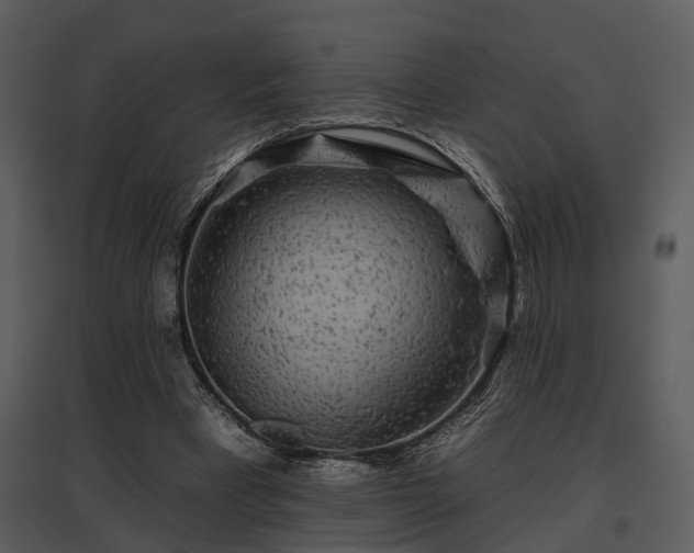 X0000095670393200801151108