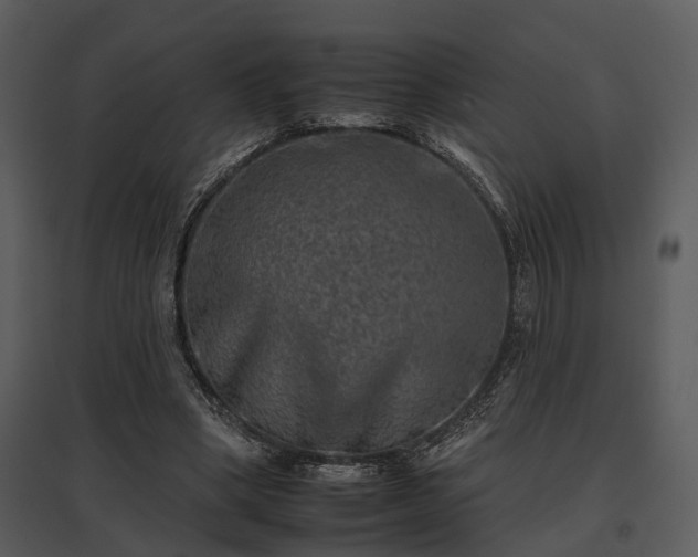 X0000095670394200801151108