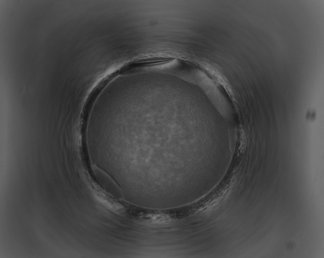 X0000095670395200801151108