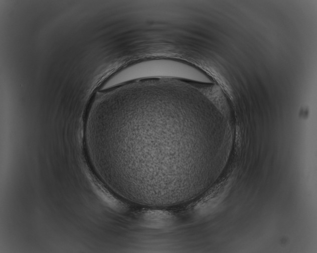 X0000095670397200801151108