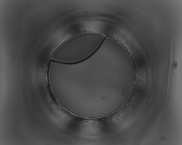 X0000095670398200801151108