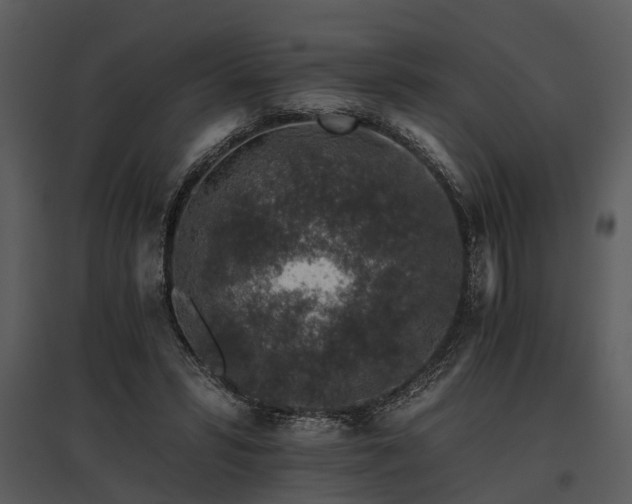 X0000095670399200801151108