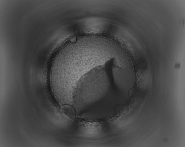 X0000095670400200801151108