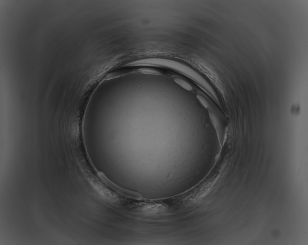 X0000095670401200801151108