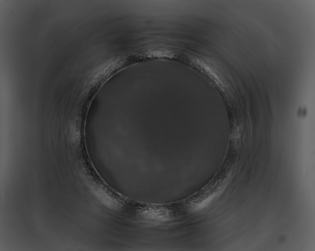 X0000095670402200801151108