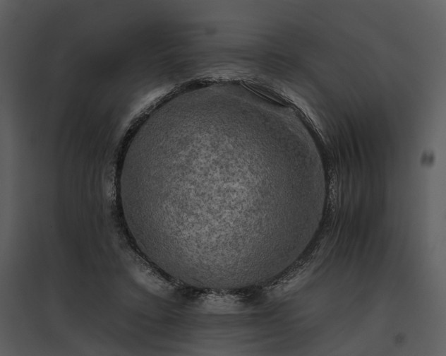 X0000095670403200801151108