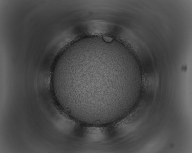 X0000095670404200801151108