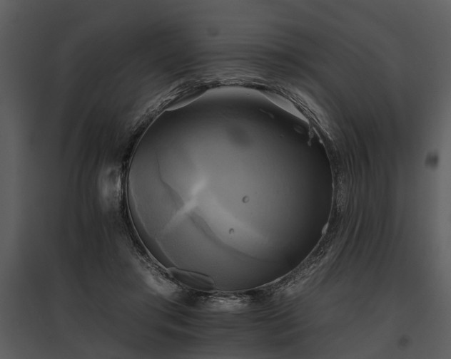 X0000095670405200801151108