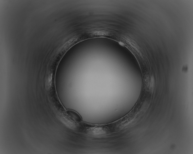 X0000095670406200801151108