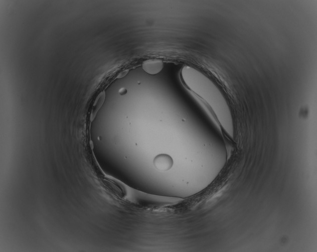 X0000095670407200801151108