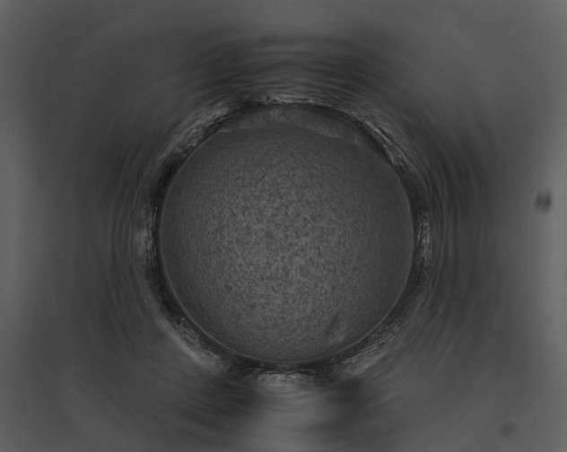 X0000095670408200801151108