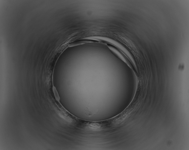 X0000095670409200801151108