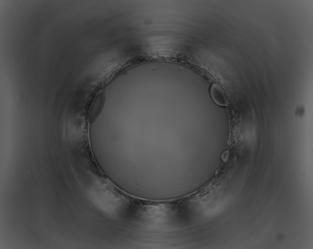 X0000095670411200801151108