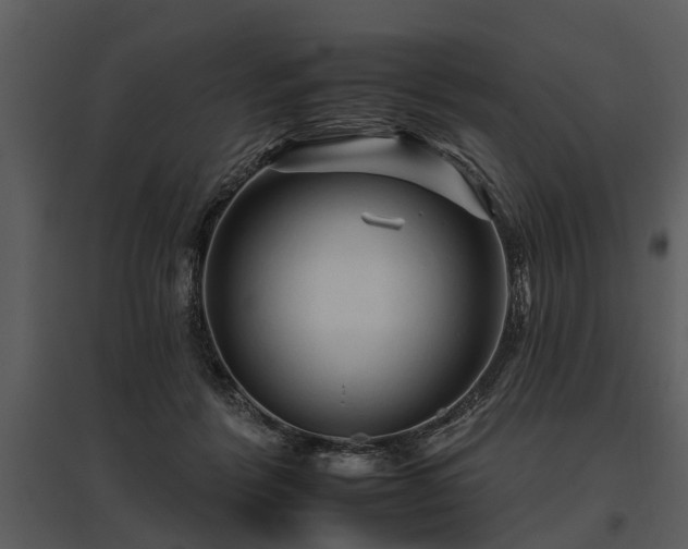 X0000095670412200801151108