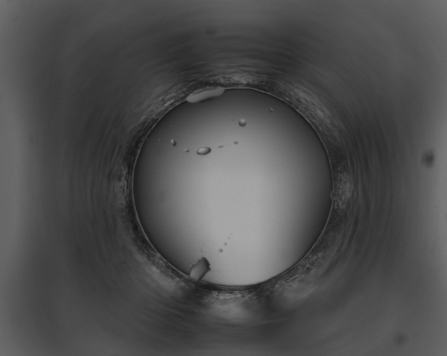 X0000095670414200801151108