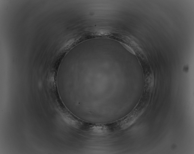 X0000095670415200801151108