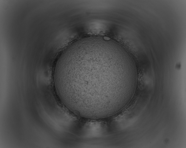 X0000095670416200801151108