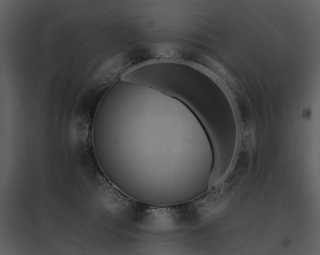 X0000095670417200801151108