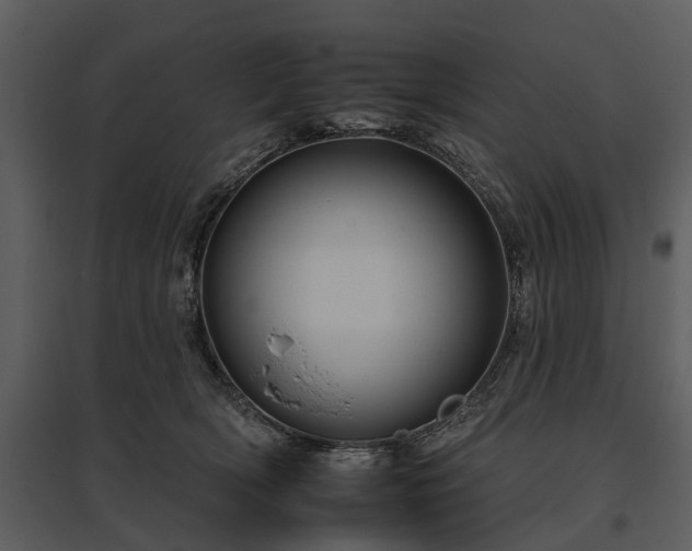 X0000095670418200801151108