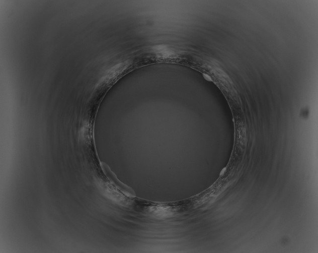 X0000095670419200801151108