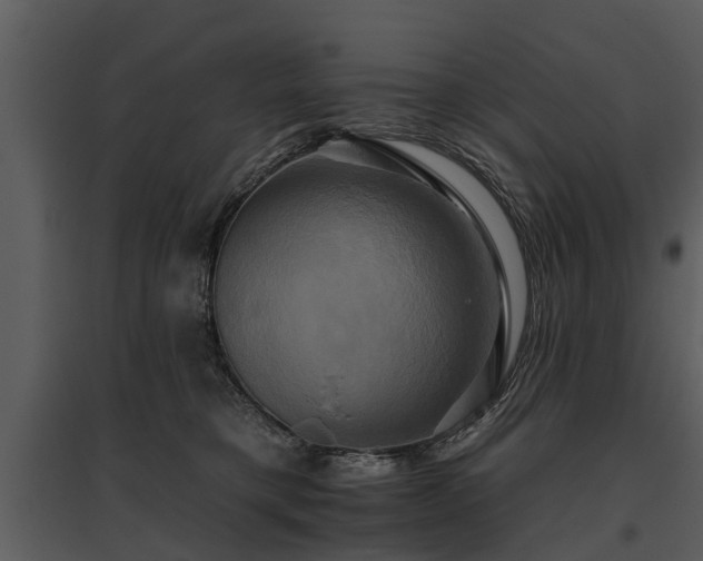 X0000095670421200801151108