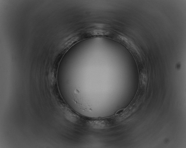 X0000095670422200801151108