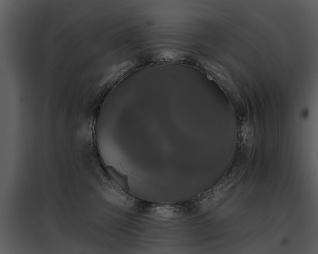 X0000095670423200801151108