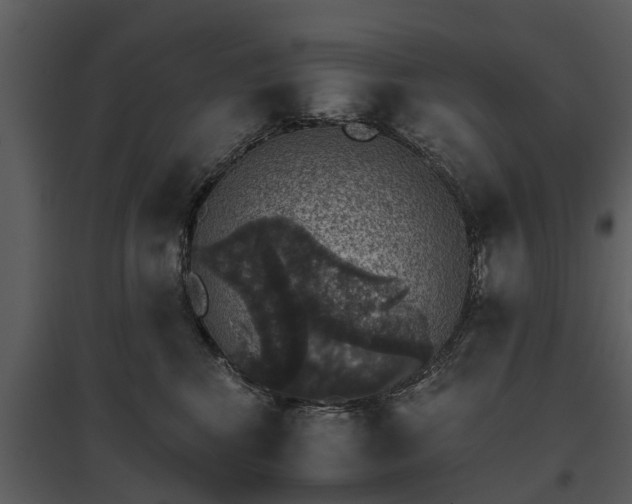 X0000095670424200801151108