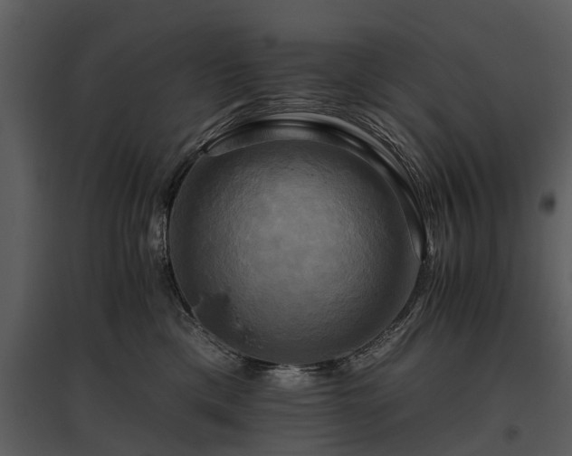 X0000095670425200801151108