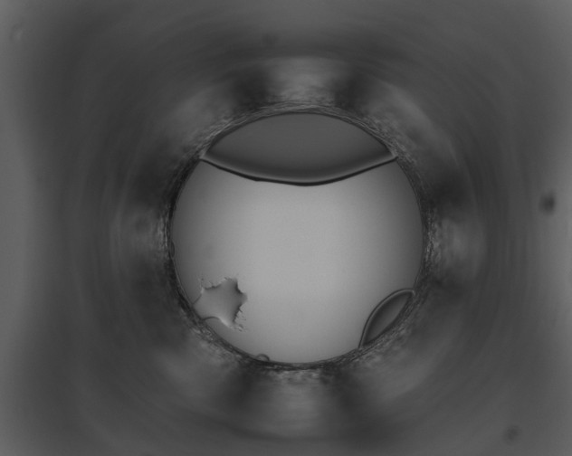 X0000095670426200801151108