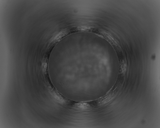 X0000095670427200801151108