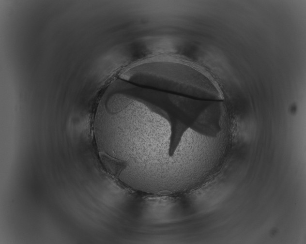 X0000095670428200801151108