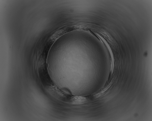 X0000095670429200801151108