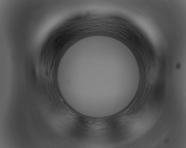 X0000095670431200801151108