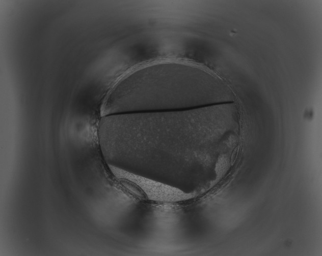 X0000095670432200801151108