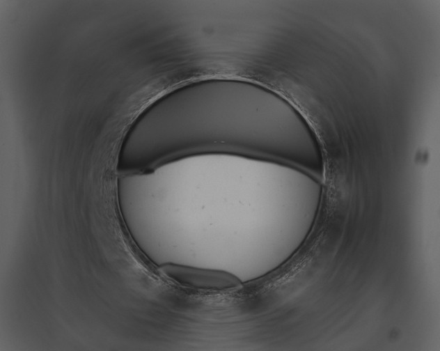 X0000095670433200801151107