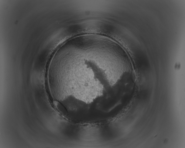 X0000095670434200801151107