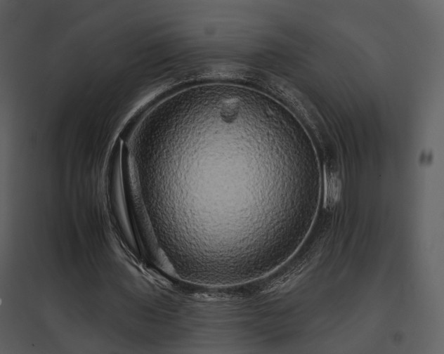 X0000095670435200801151107