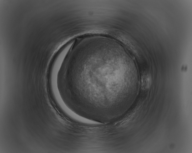 X0000095670436200801151107