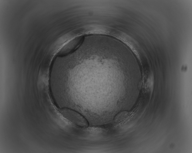 X0000095670437200801151107