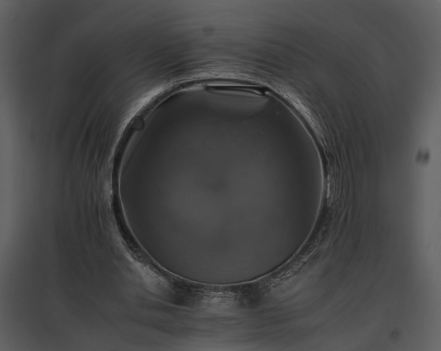 X0000095670438200801151107