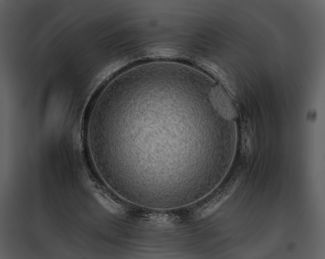 X0000095670439200801151107