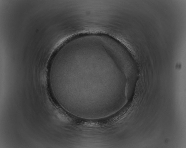 X0000095670440200801151107