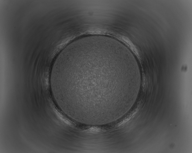 X0000095670441200801151107