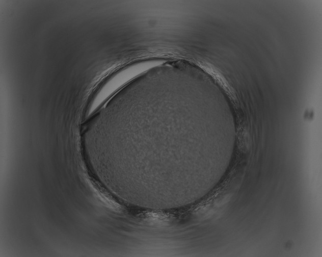 X0000095670442200801151107