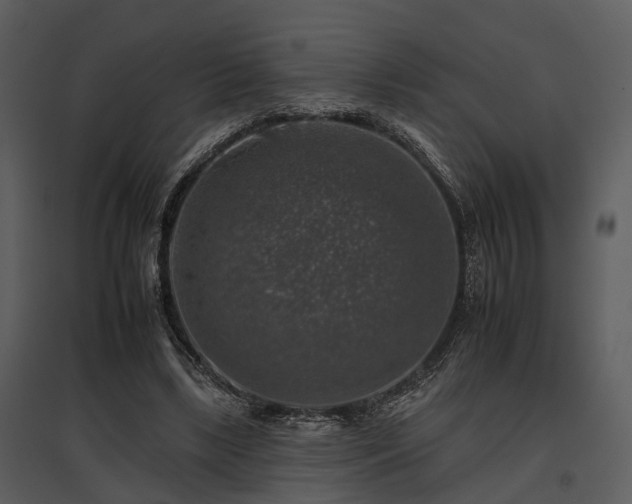 X0000095670443200801151107