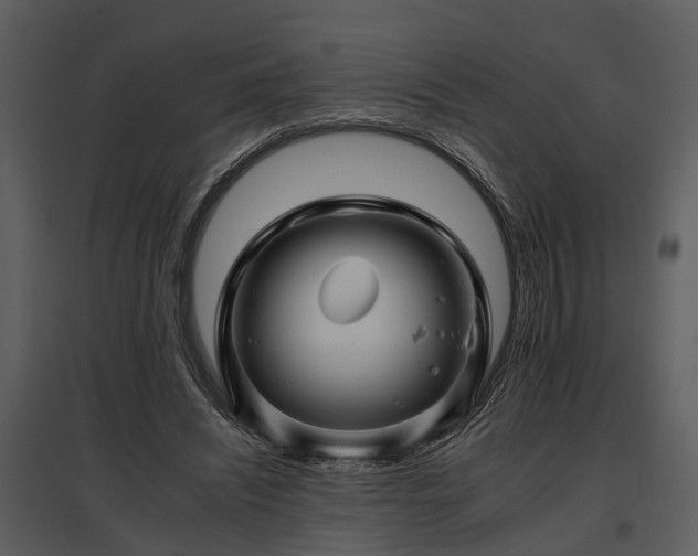 X0000095670444200801151107