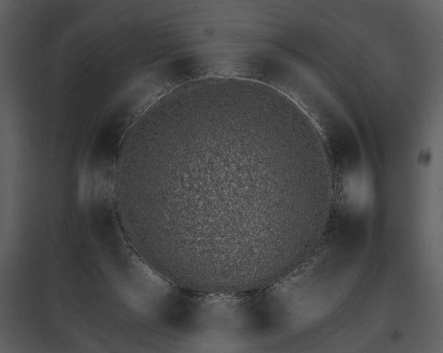 X0000095670445200801151107